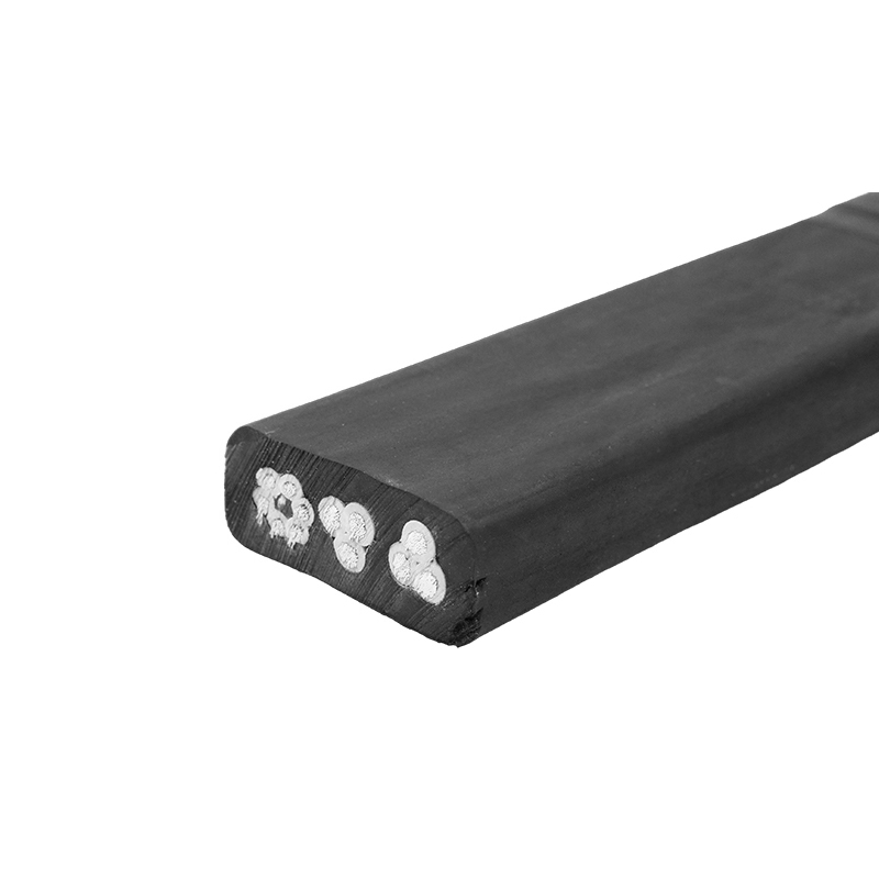 Středně plochý obecný pryžový kabel